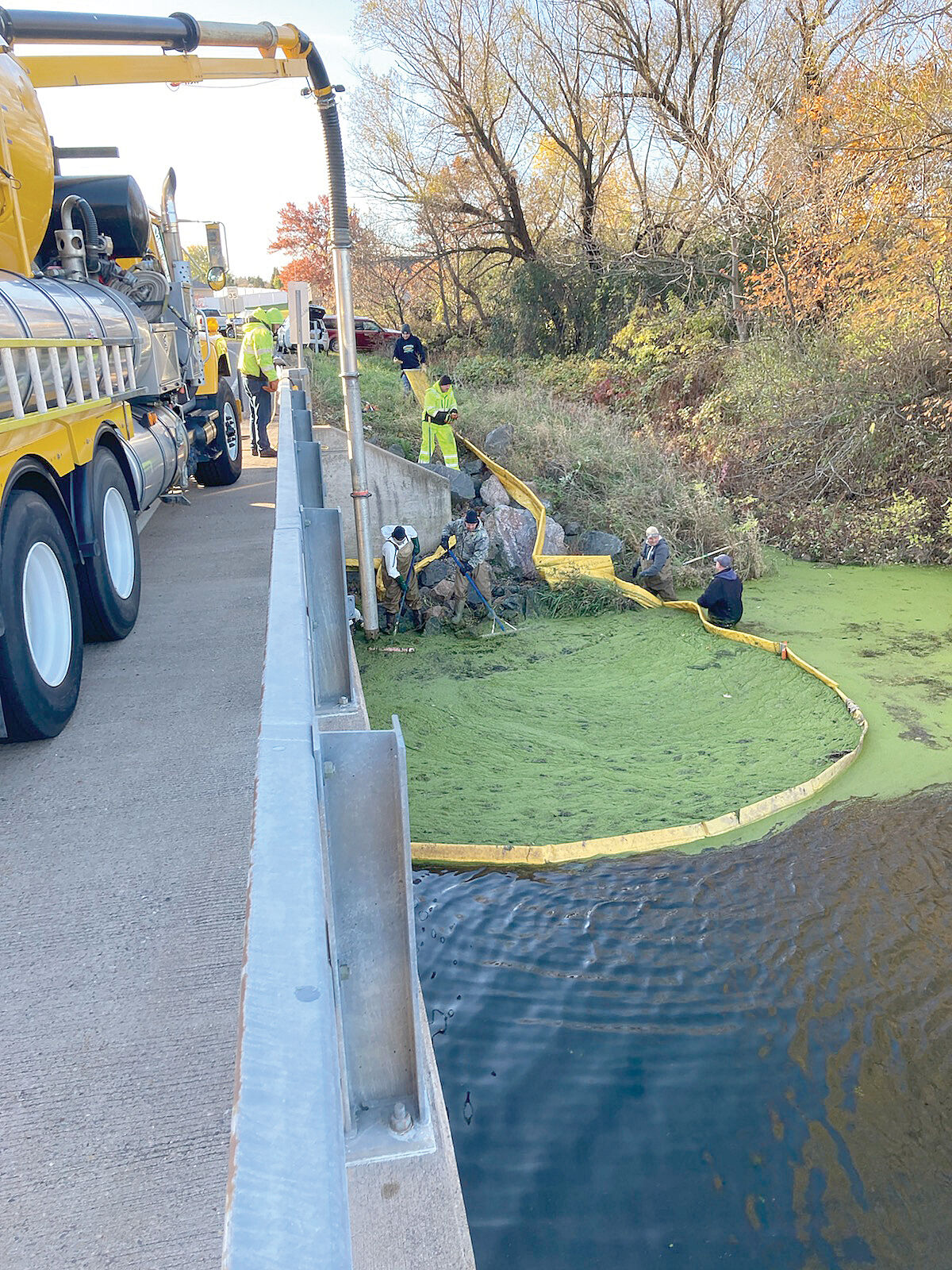 Algea_Cleaning2WEB.jpg